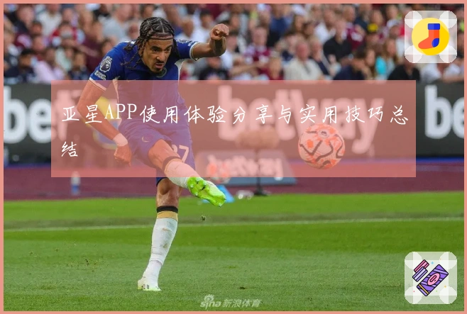 亚星APP使用体验分享与实用技巧总结