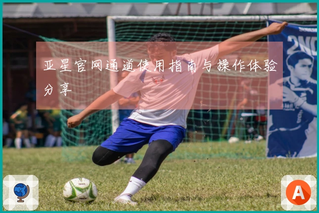 亚星官网通道使用指南与操作体验分享