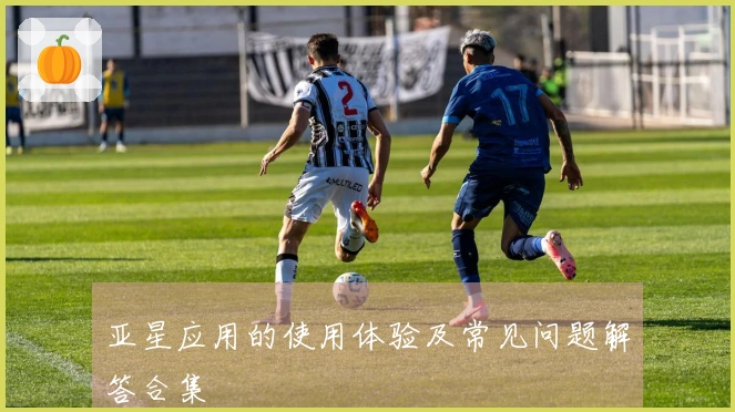 亚星应用的使用体验及常见问题解答合集